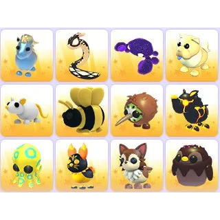 Random Pets x 24