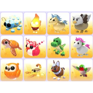 Random Pets x 24