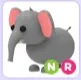 NR Elephant