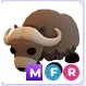 MFR Musk Ox