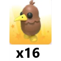 Kiwi x 16