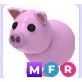 MFR Pig