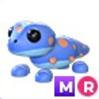 MR Gecko