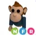 NFR Business Monkey