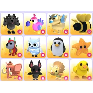 Random Ride Bundle x 12