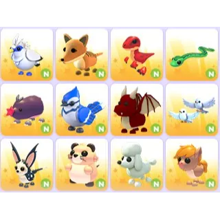 Neon Pets x 12