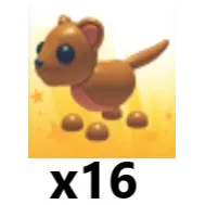 Fossa x 16
