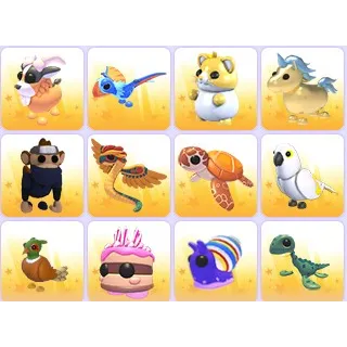 Random Pets x 24