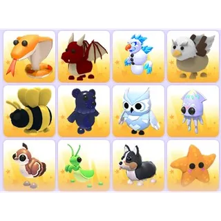 Random Pets x 24