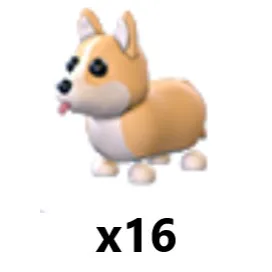 Corgi x 16