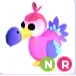NR Dodo