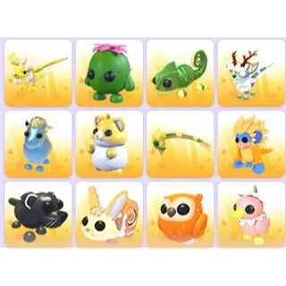 Random Pets x 24