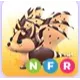 NFR Chocolate Chip Bat Dragon