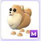 Mega Pomeranian