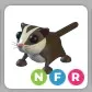 NFR Sugar Glider