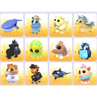Random Pets x 24