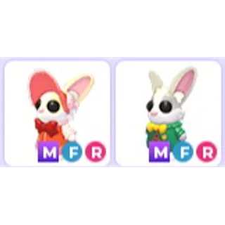 MFR Mr & Mrs Whiskerpips