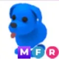 MFR Blue Dog