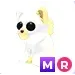 MR Ghostly Cat