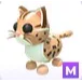 Mega Leopard Cat