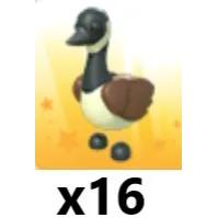 Canadian Goose x 16