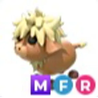 MFR Highland Cow