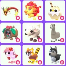 Ride Pet Bundle x 9