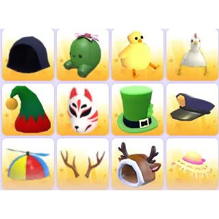 Pet Wear x 60