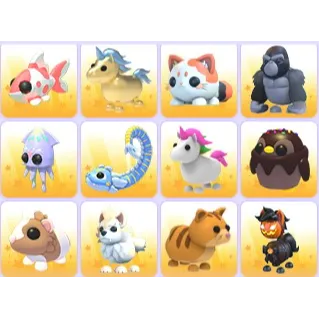 Random Pets x 24