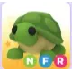 NFR Turtle