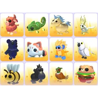 Random Pets x 24