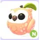 Neon Peach Owl