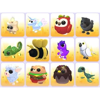 Random Pets x 24