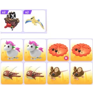 Pet Bundle x 12