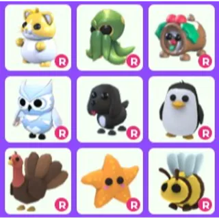 Ride Pets x 9