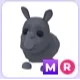 MR Rhino