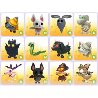 Halloween Neon Pets x 12