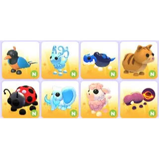 Neon Pets x 8