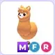 MFR Alpaca