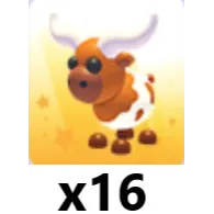 Longhorn Cow x 16