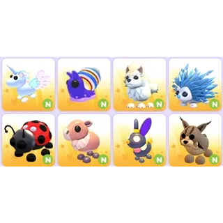 Neon Pets x 8