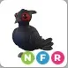 NFR Black Chested Pheasant