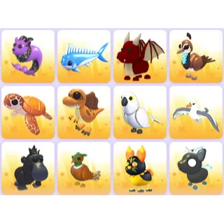 Random Pets x 24