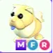 MFR Golden Chow Chow