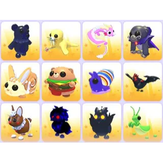 Random Pets x 24