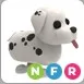 NFR Dalmatian