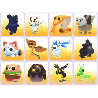 Random Pets x 24