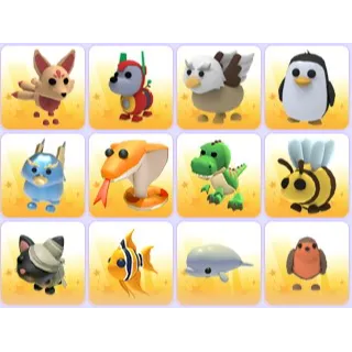 Random Pets x 24