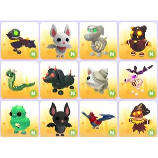 Neon Halloween Pets x 12