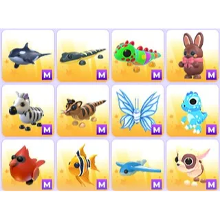 Mega Pets x 12